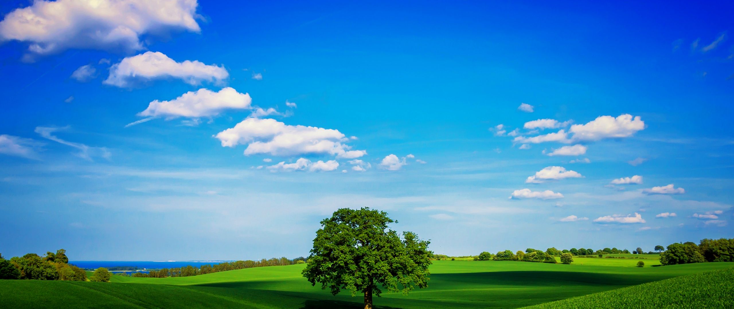 Green Nature